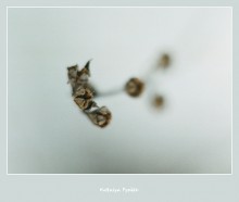 in tumane_ / ***