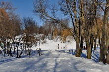 At the junction of the seasons / /////////////