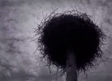 prickly loneliness / *****