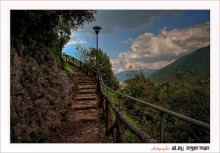 The path in the fairy tale. / ***
