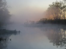 Morning Fischerei / ***