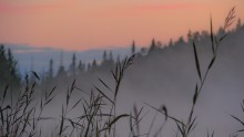 There\'s a fog 2 / ***