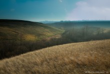 lines (repost) / ------------