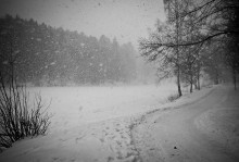 ... Blizzard ... / ***