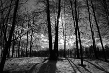Light and shadow / *****