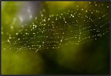 Galaxy ... / ***