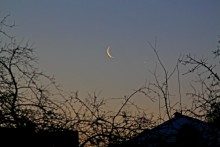 Dawn / ***