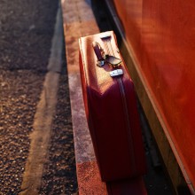 red suitcase / ***