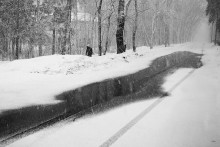 Last Snow / *****