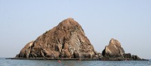 Coral island / ***