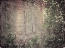 Vergessen Sie alles ... / *****
