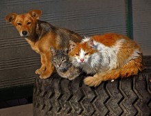 In close quarters, but not mad! / **********