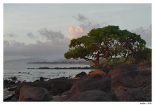 Kapaa morning / Kapaa, Kauai, Hawaii