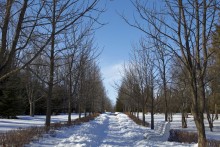 Winter Park / ***