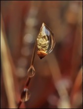 Nothing superfluous ... / ***