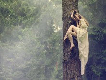 Forestry / .....