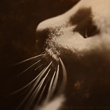 [Tangibility] / .....