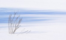 Breeze / Breeze