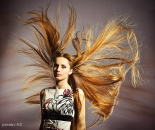 Butterfly / ***