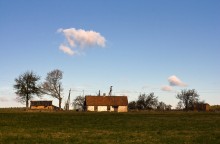 farm / ***
