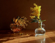 Zwei Vasen und Feder / ***