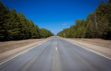 The road into the forest / ***
