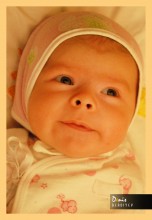 Girl / ***