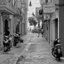 morning with three men and a dog........... / ***
