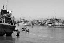 in port / ***