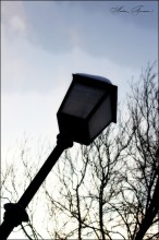 Laterne / ***