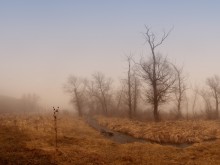 Eintauchen in die Geheimnisse der Nebel / ***