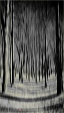The Moon Forest... / ***