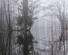 Mystery of Water and Light / ***