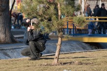 In an ambush / ***