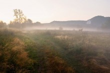 Rasstayav in the morning mist ... / ***
