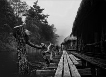 Hausboot / ***