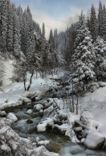 mountain rivers Trans-Ili Alatau / _________
