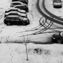 nächsten Winter / *****