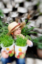 A series of "Gardener" / ***