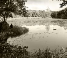 Fishing / ***