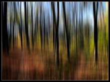 Melodie der herbstlichen Wald .... / ***