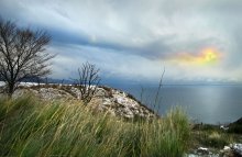 mneg and the Sea / ***