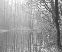 Gloomy / ***