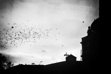 untitled / Lviv
2011