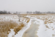 | The last days of winter | / ******