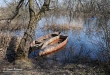 In anticipation of summer / ***