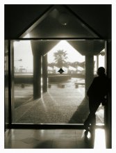 observer / ***