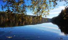 Forest Lake / ***