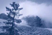 Sleep, shrouded in mist ... / ***