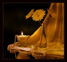 Golden Pearl / *******